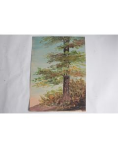 Aquarelle originale Étude d'arbre