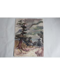 Aquarelle originale Engadine Arolles Silvaplana Suisse 1932