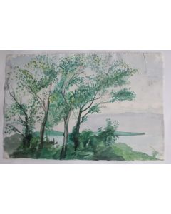 Aquarelle originale Paysage arboré au bord de l'eau