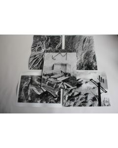 Lot 5 Photographies d'art JAN NEUMAN nature morte