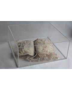 VIVIANE FONTAINE Sculpture Livre papier 1992 Suisse