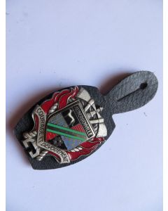 Insigne Pompier Aubergenville