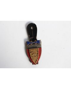 Insigne Pompier Avranches (Manche)