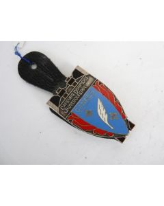 Insigne Pompier Cannes