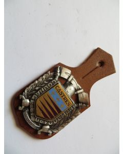 Insigne Pompier Castres