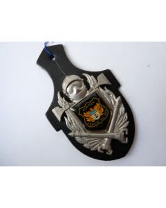 Insigne Pompier Corsier