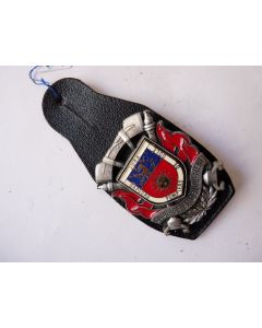 Insigne Pompier Dole ( Jura )