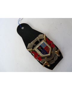 Insigne Pompier Doubs