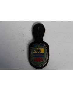 Insigne Pompier Fontainebleau (Seine-et-Marne)