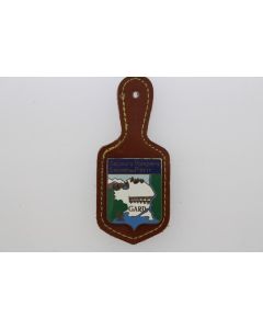 Insigne Pompier Gard