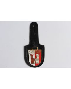 Insigne Pompier La Tour-de-Peilz Suisse