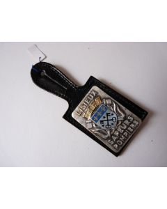 Insigne Pompier Lisieux