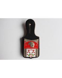 Insigne Pompier Longjumeau