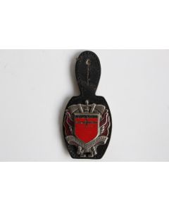 Insigne Pompier Montmélian (Savoie)