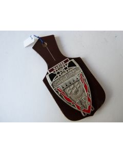 Insigne Pompier Nantes