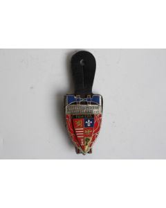 Insigne Pompier Pamiers (Ariège)