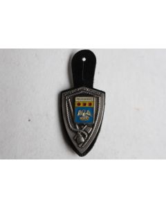 Insigne Pompier Pelissanne (Bouches-du-Rhône)