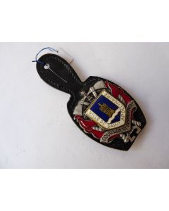 Insigne Pompier Saint Apolinaire