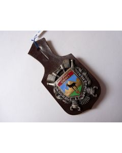 Insigne Pompier Saint Martin D'Heres
