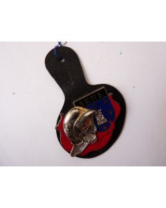 Insigne Pompier Sens