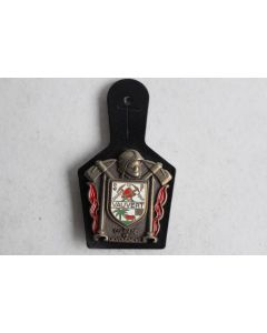 Insigne Pompier Vauvert (Gard)