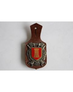 Insigne Pompier Vence