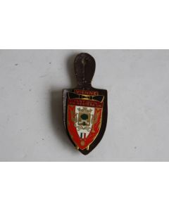 Insigne Pompier Vienne