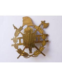 Insigne pompiers Mexique