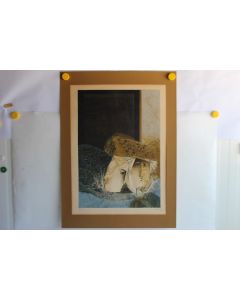 Lithographie originale Alvar SUÑOL MUÑOZ RAMOS P.A. n°XII/XX