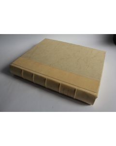 Livre Entre Clémence et Collavine Chroniques Genevoises Buenzod Perret