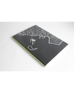 Livre Jean Cocteau poésie graphique Jacques damase 1987