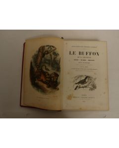Livre Le Buffon de la Jeunesse BLANCHARD Histoire Naturelle 1859