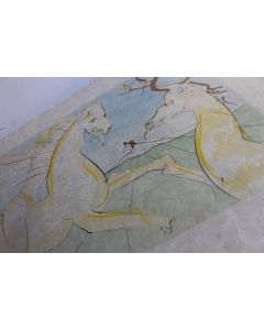 SALVADOR DALI  lithographie  Le cheval qui voulait se venger du cerf 