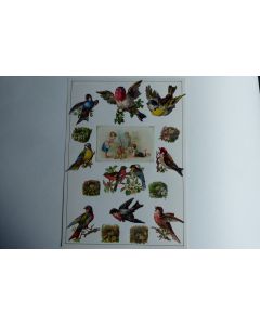 Images chromos gaufrés découpés nids oiseaux 1890