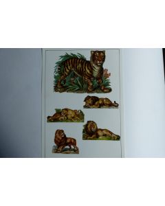 Images chromos gaufrés découpés félins tigre lion 1890