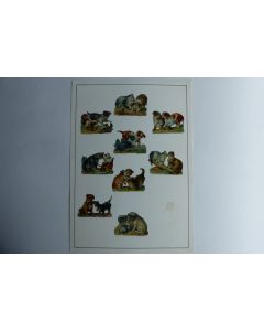 Images chromos gaufrés découpés chiens chats 1890