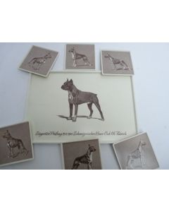 Plateau + dessous de verres Boxer - Club 1961 chiens