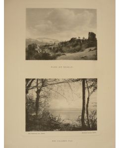 Photo Fred BOISSONNAS Suisse Bois d'Allaman Vaud