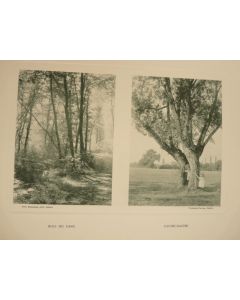 Photo Fred BOISSONNAS Suisse Bois du Jonc Campagne