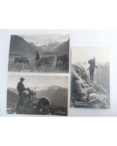 3 CP photo Suisse Berger montagne Bergen