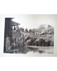 Photo Fred BOISSONNAS 1896 Montagne Agriculture VII