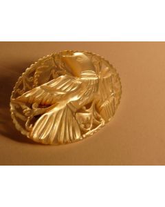 Broche nacre oiseau