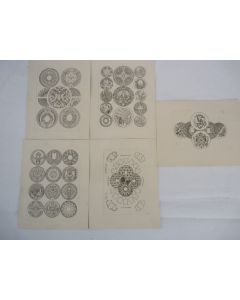Modelés de gravures pour boites de montres 