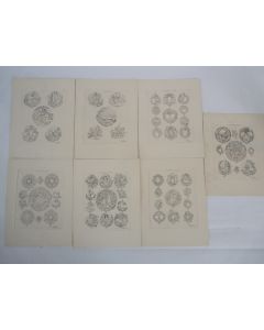 Modelés de gravures pour boites de montres F. Hanni