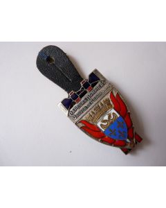 Insigne Pompier Versailles
