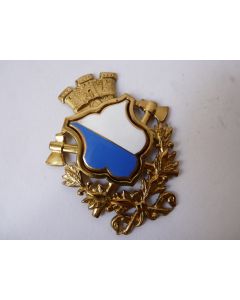 Insigne Pompier Zurich Suisse