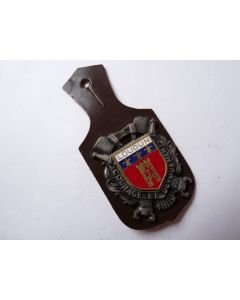 Insigne Pompier Loudun