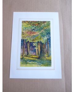 Aquarelle Forêt Possaz 1906