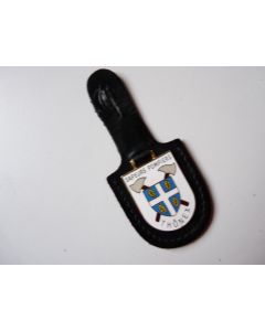 Insigne Pompier Thônex