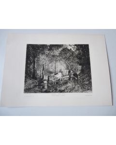 Gravure XIXe siècle  Vache 